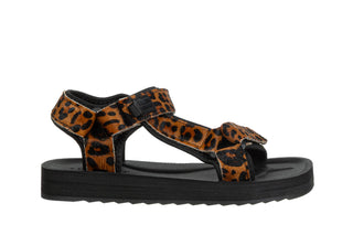 Sandały D Franklin Forrest Leo 206017, Brązowy, Skóra naturalna