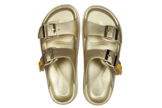 Klapki D Franklin Vibe Foam 2 Buckles Met Light Gold 206020, Złoty, Tworzywo